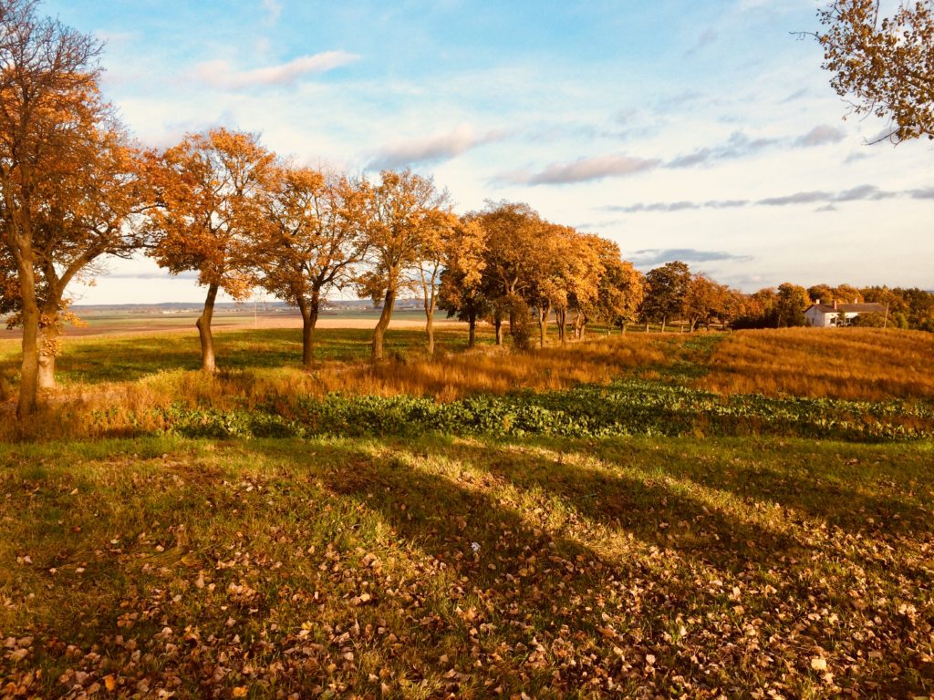 jesienny widok podczas wycieczki rowerowej